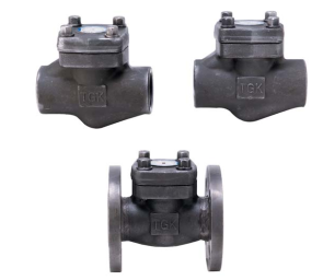 Van 1 chiều thép rèn A105 #600 , #800 , #1500