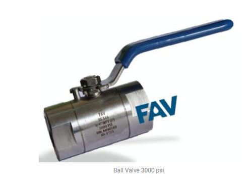 Van bi 1 mảnh 3000PSI