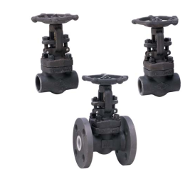 Van cầu thép rèn A105 #600 , #800 , #1500